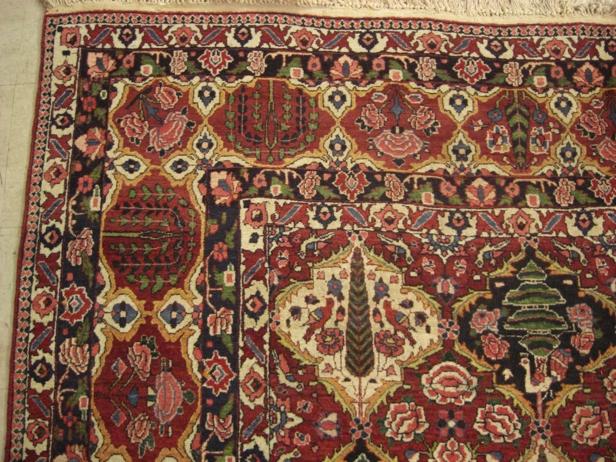 Rug image